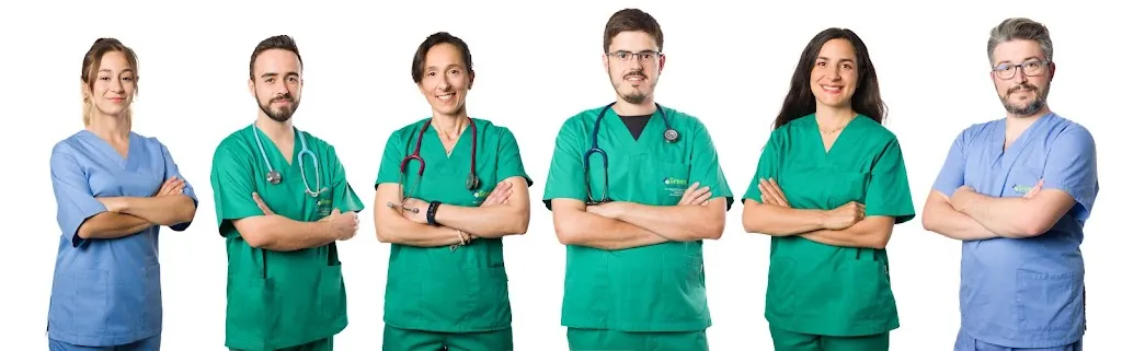 Imagen de Principal