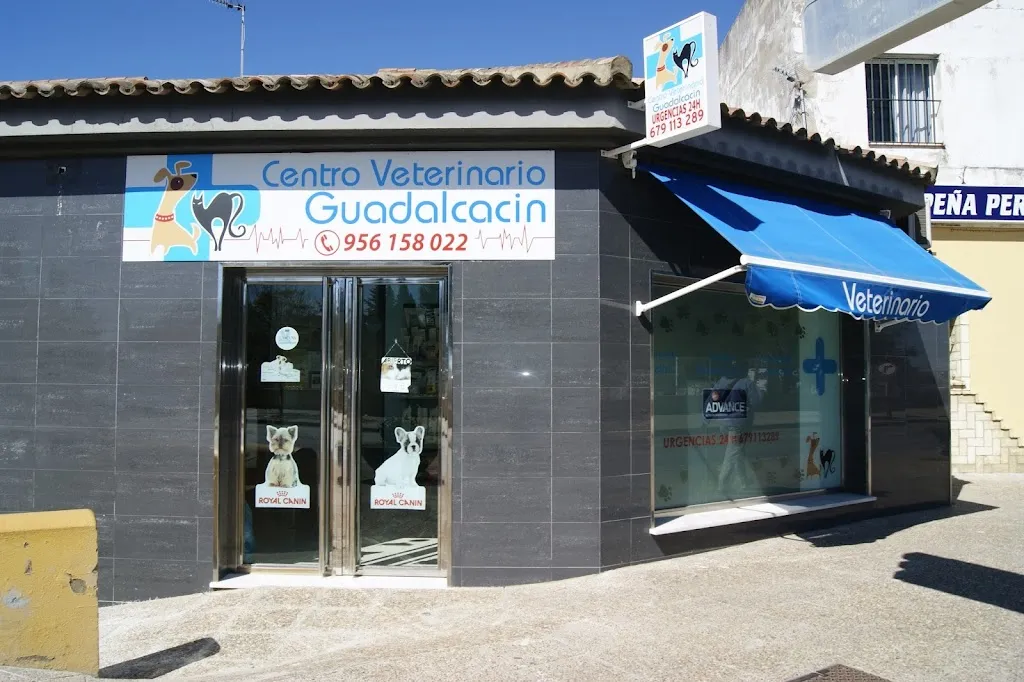 Imagen de Principal