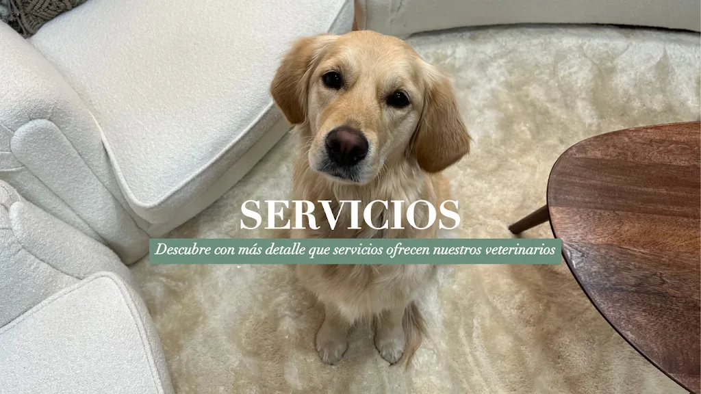 Imagen de Principal