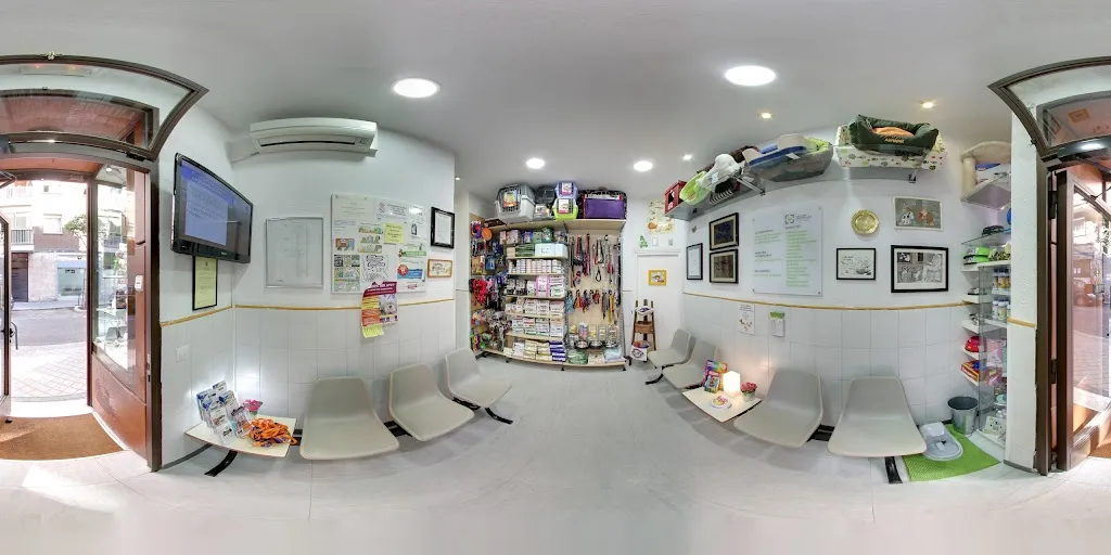 Imagen de Principal