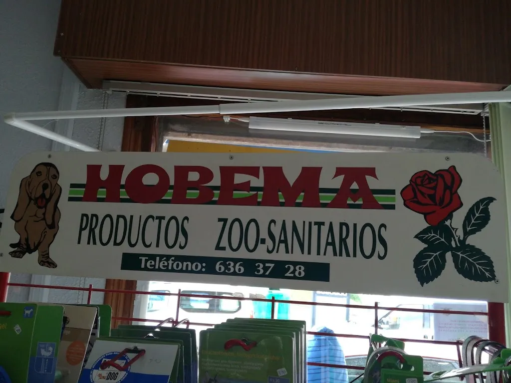 Imagen de Principal