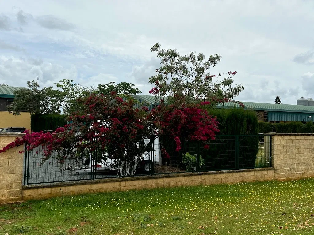 Imagen de Principal