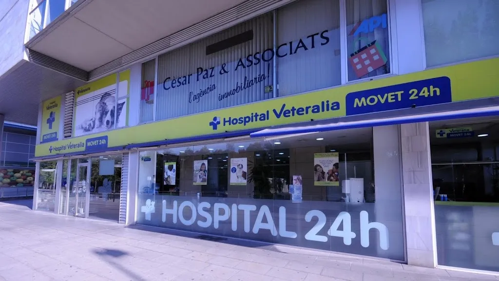 Imagen de Principal