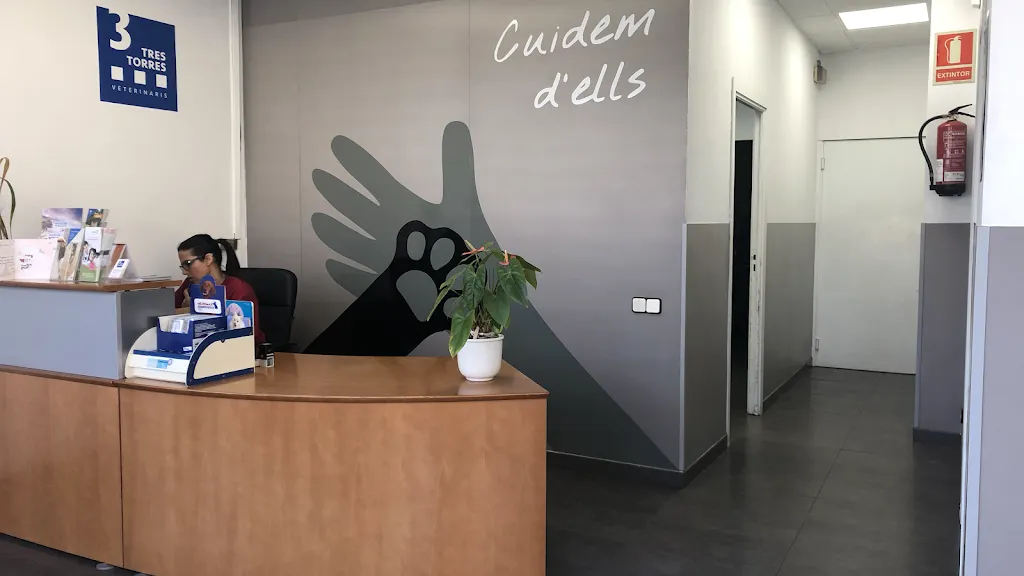 Imagen de Principal
