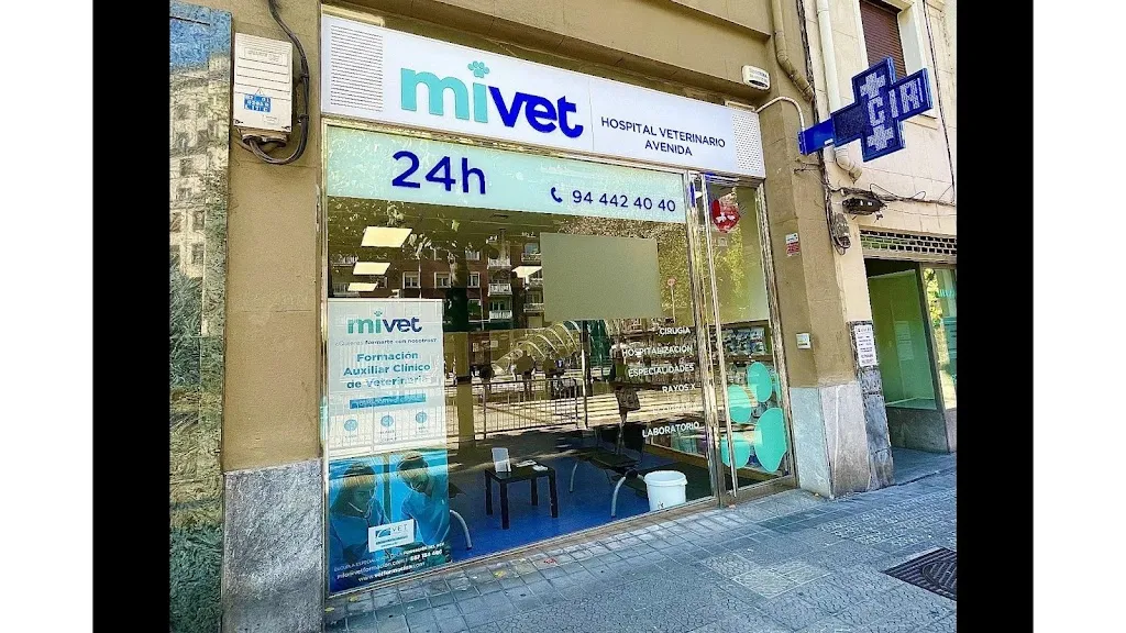 Imagen de Principal