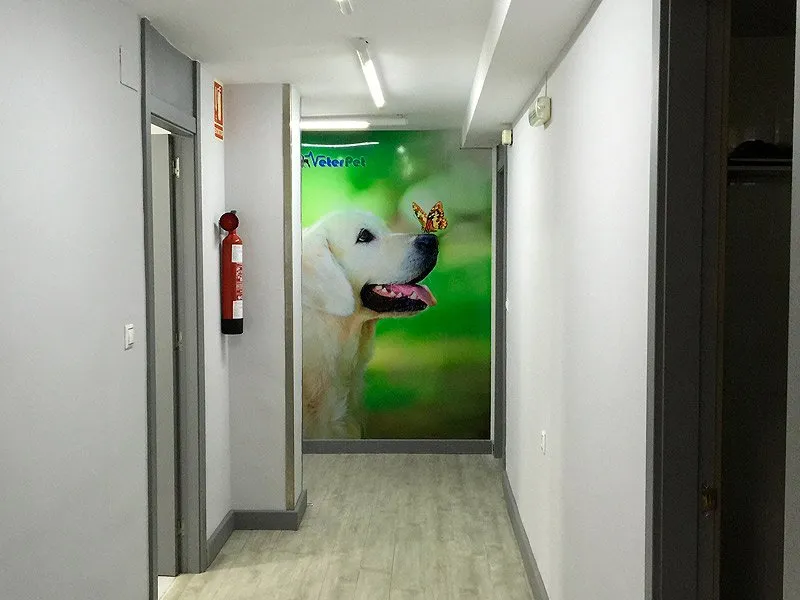 Imagen de Principal