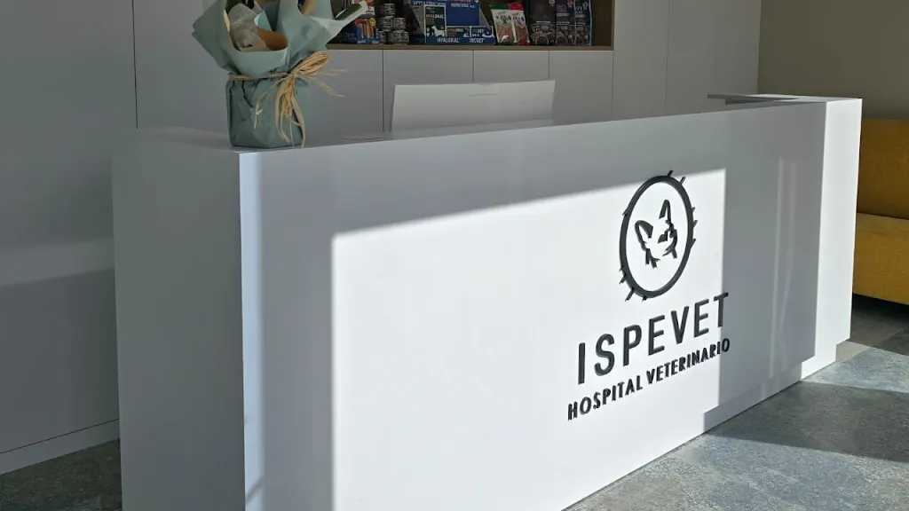 Imagen de Principal
