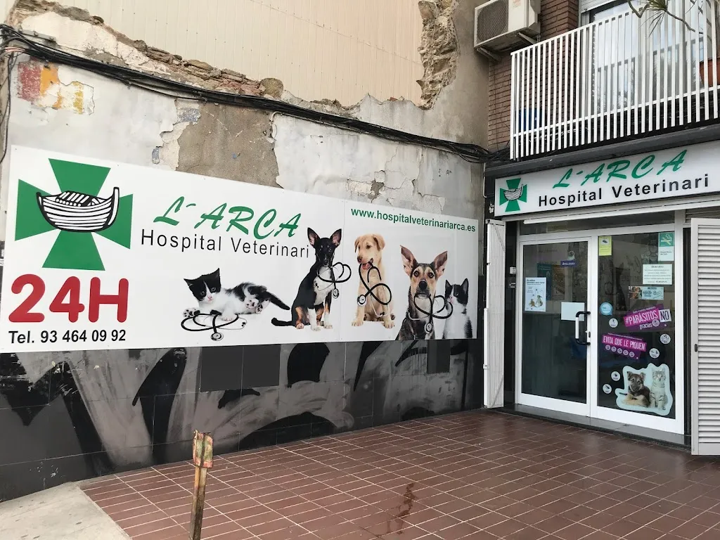 Imagen de Principal