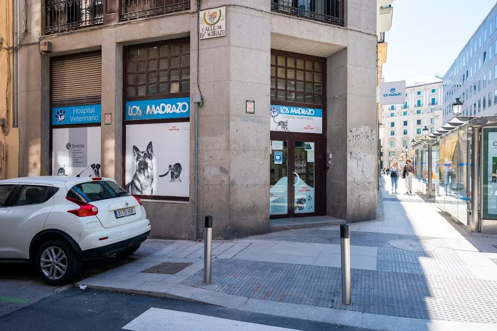 Imagen de Principal
