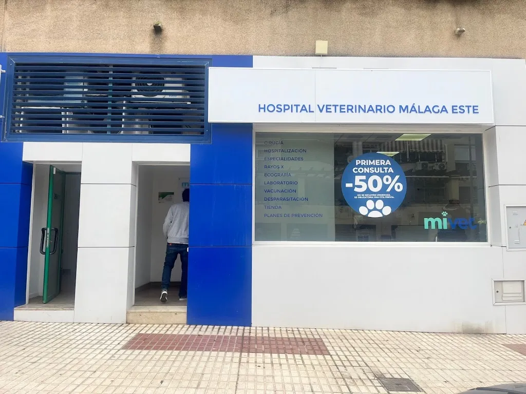 Imagen de Principal