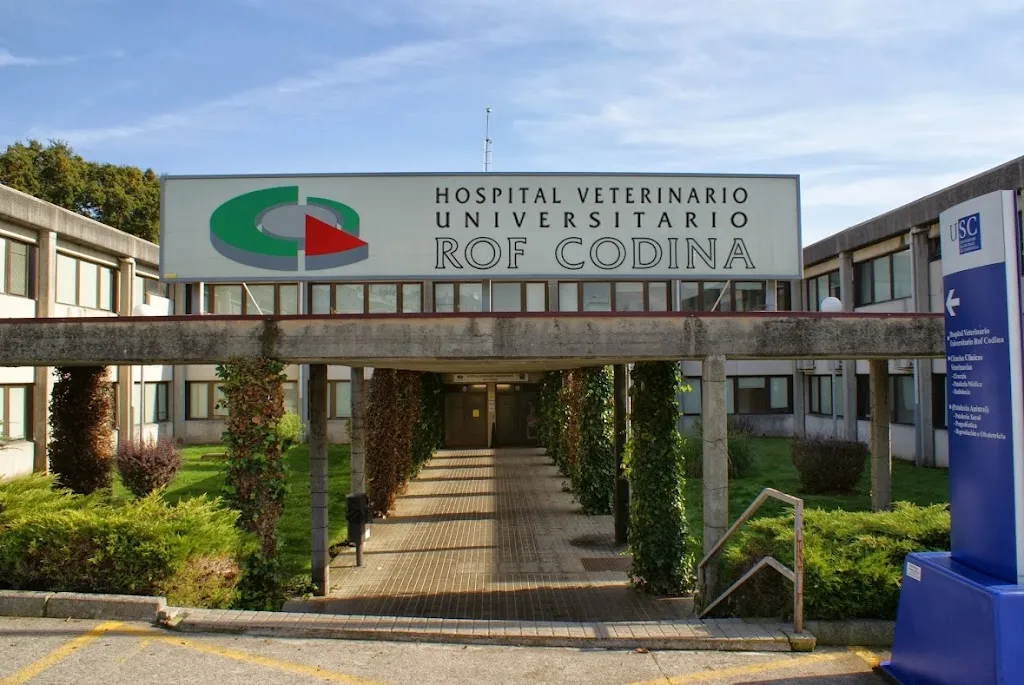 Imagen de Principal