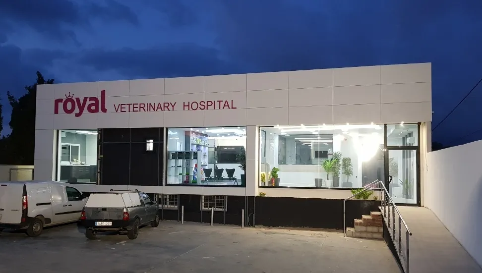 Imagen de Principal