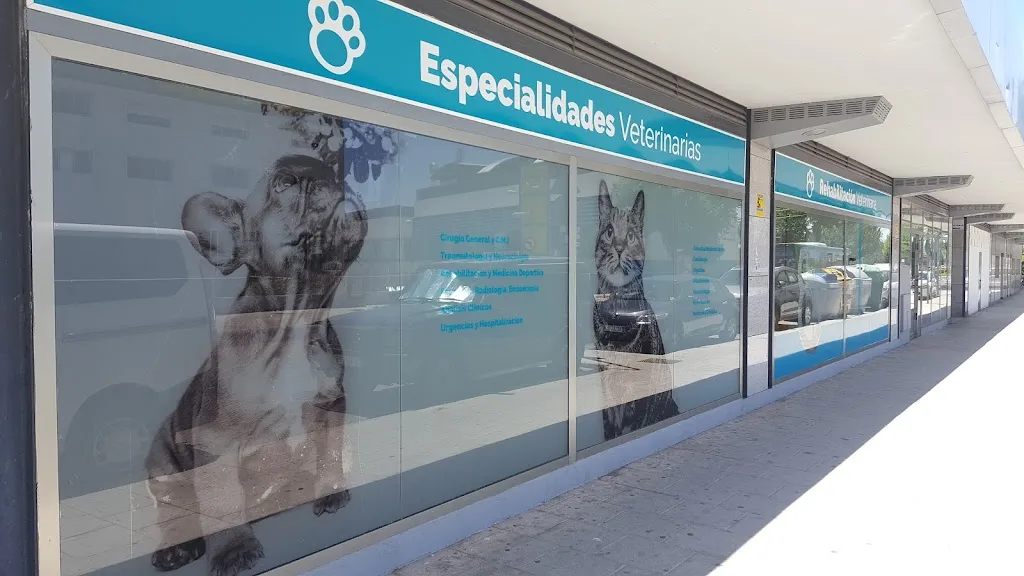 Imagen de Principal