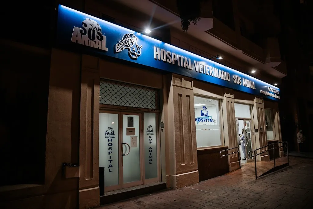 Imagen de Principal