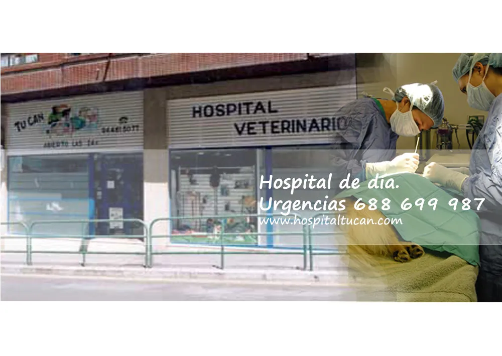 Imagen de Principal