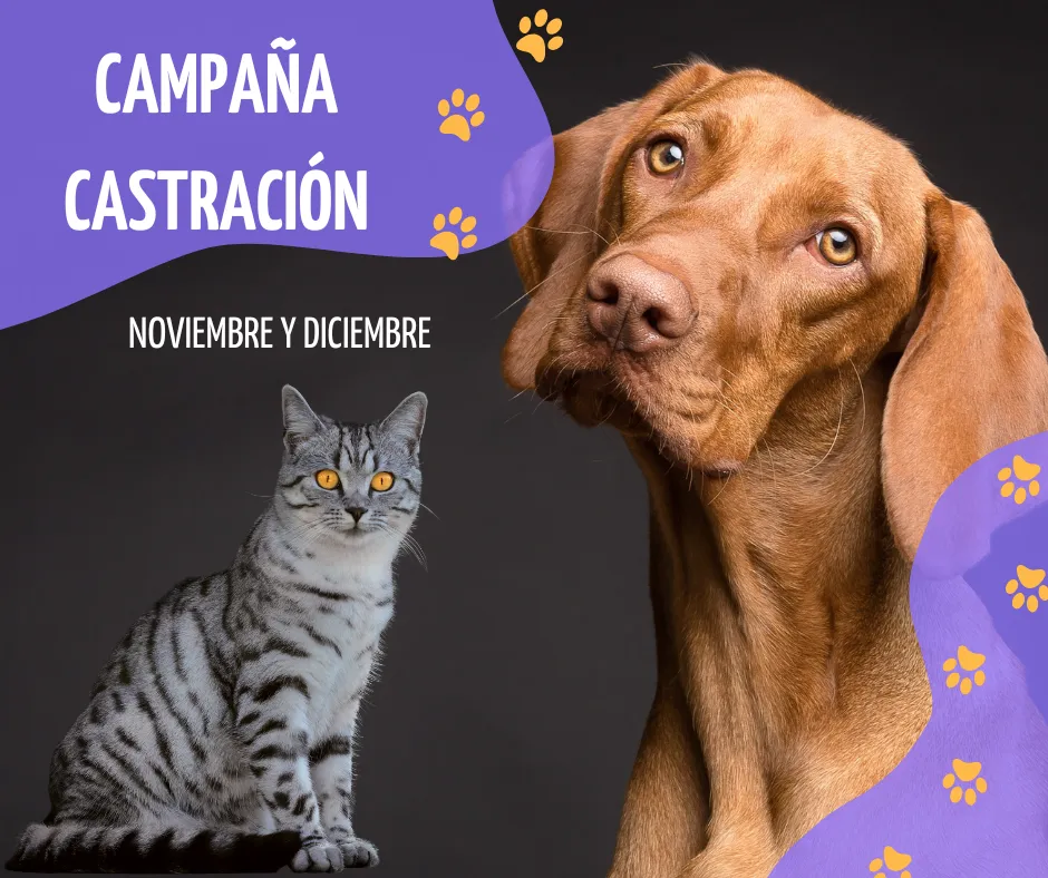 Imagen de Principal