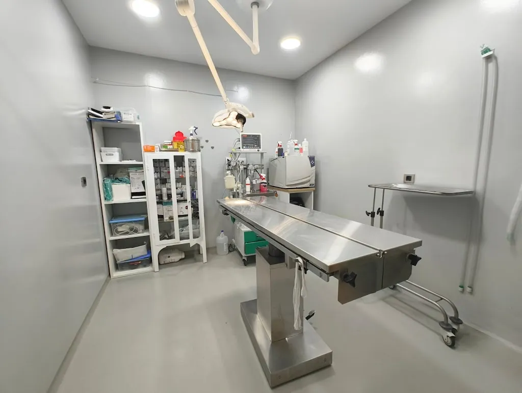 Imagen de Principal