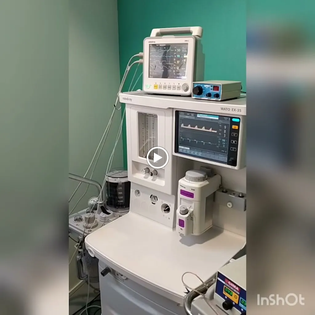 Imagen de Principal
