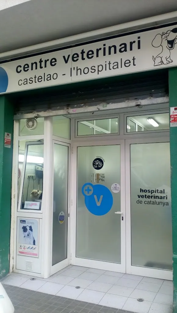 Imagen de Principal