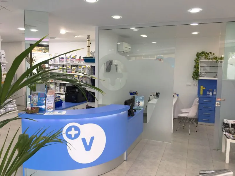 Imagen de Principal