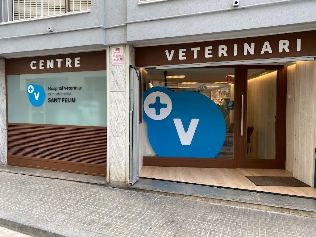 Imagen de Principal