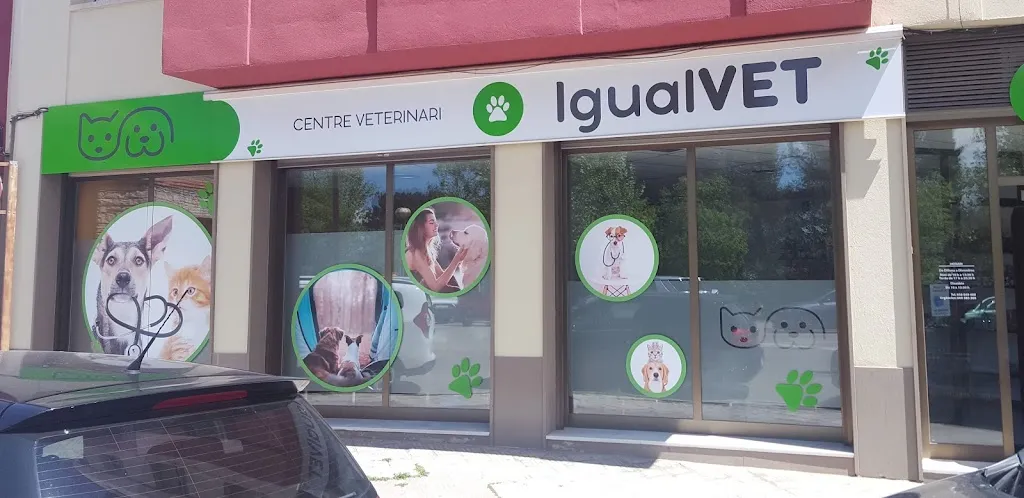 Imagen de Principal