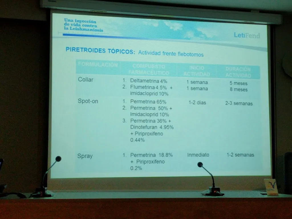 Imagen de Principal