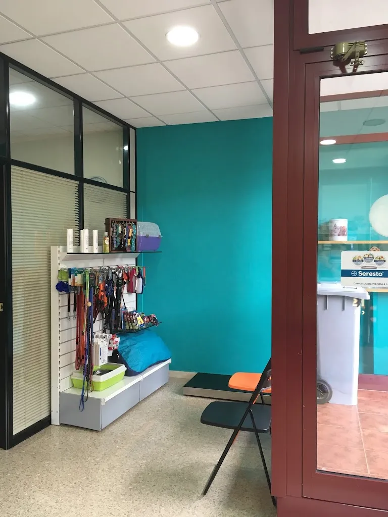 Imagen de Principal