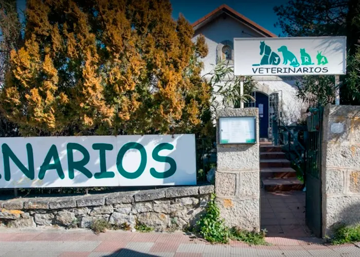 Imagen de Principal