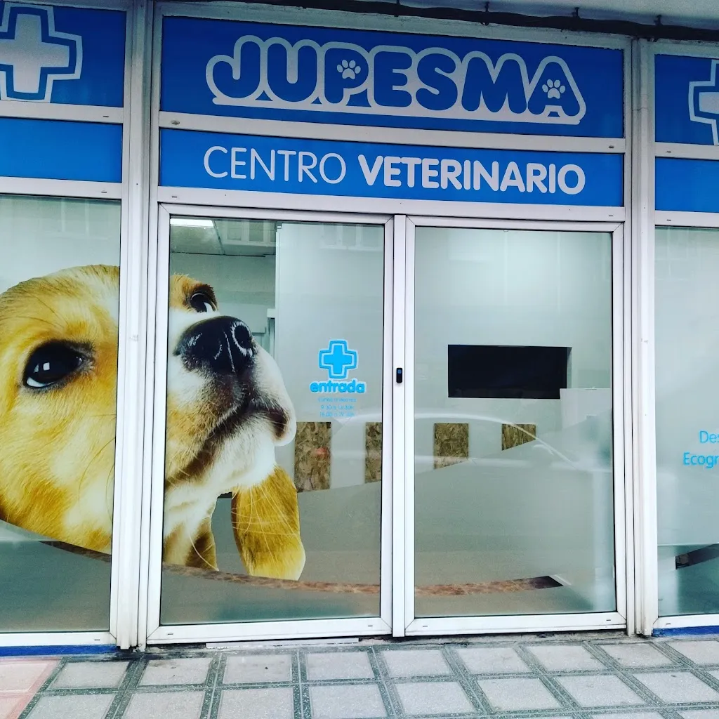 Imagen de Principal