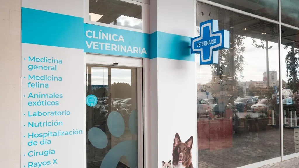 Imagen de Principal