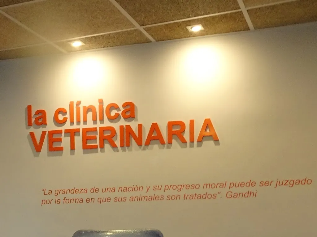 Imagen de Principal