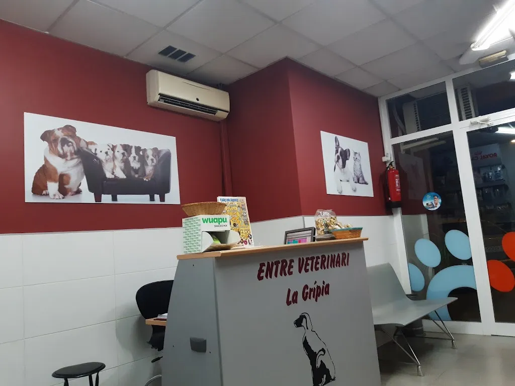 Imagen de Principal