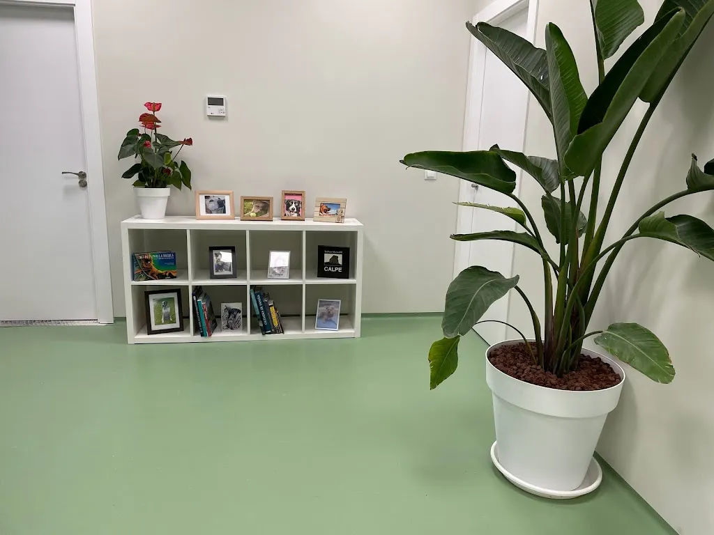 Imagen de Principal