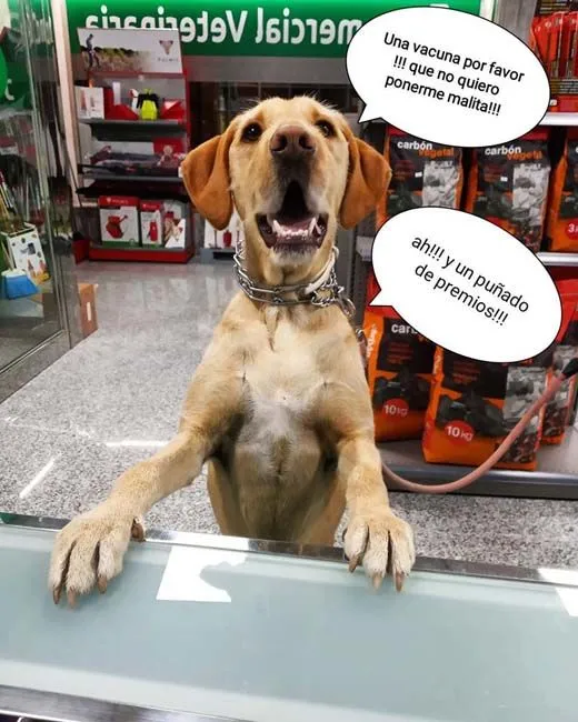 Imagen de Principal