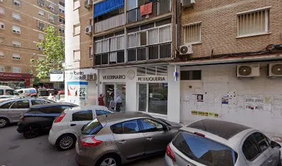 Imagen de Principal