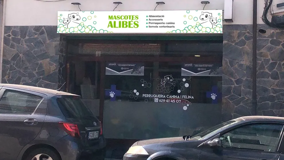 Imagen de Principal