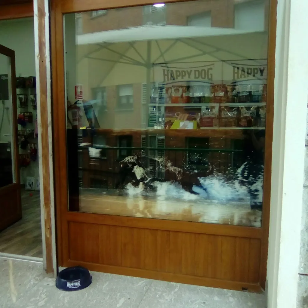 Imagen de Principal