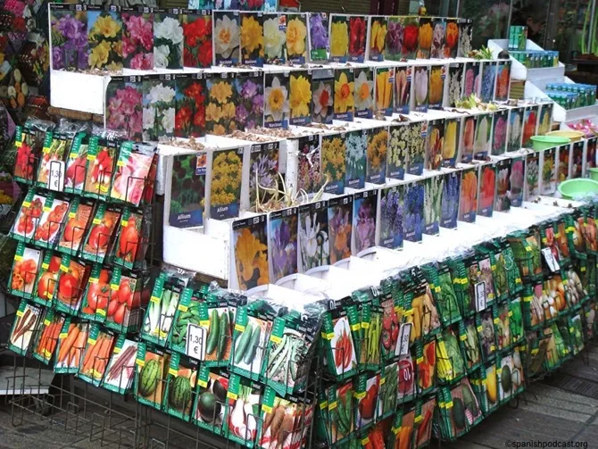 Imagen de Principal