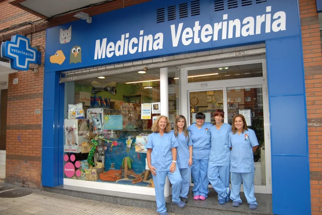 Imagen de Principal