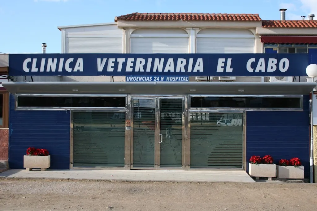 Imagen de Principal