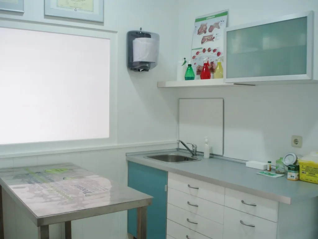 Imagen de Principal