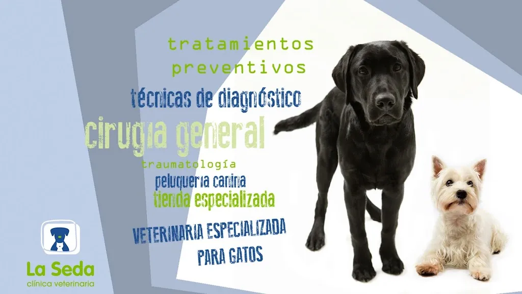 Imagen de Principal
