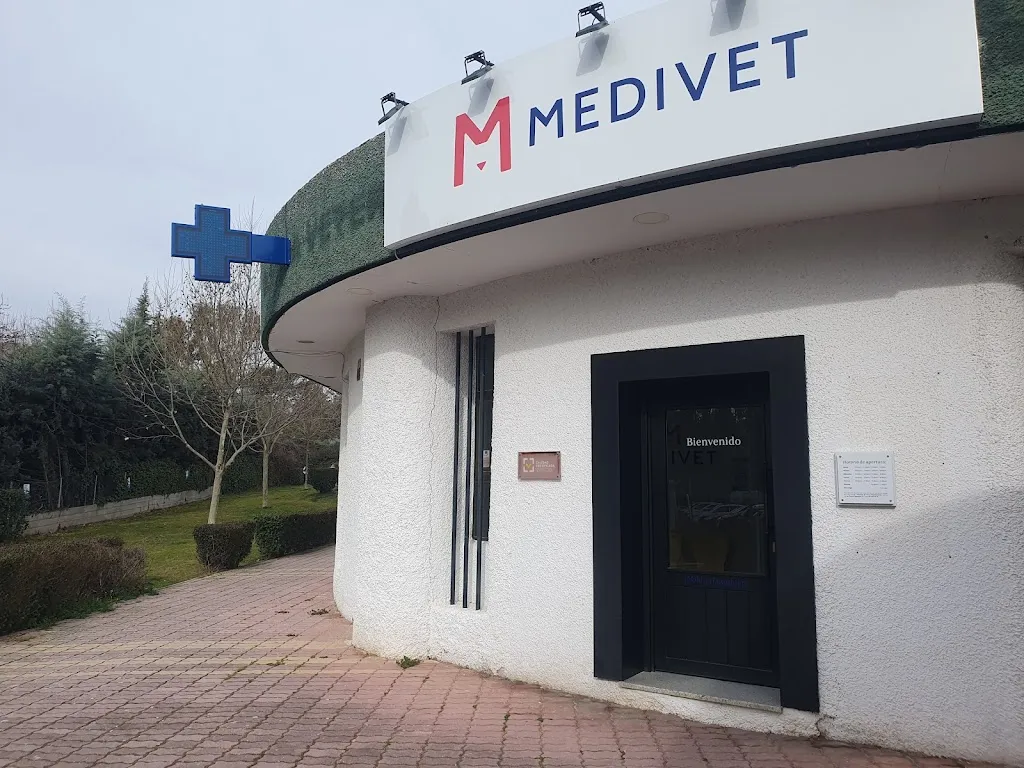 Imagen de Principal