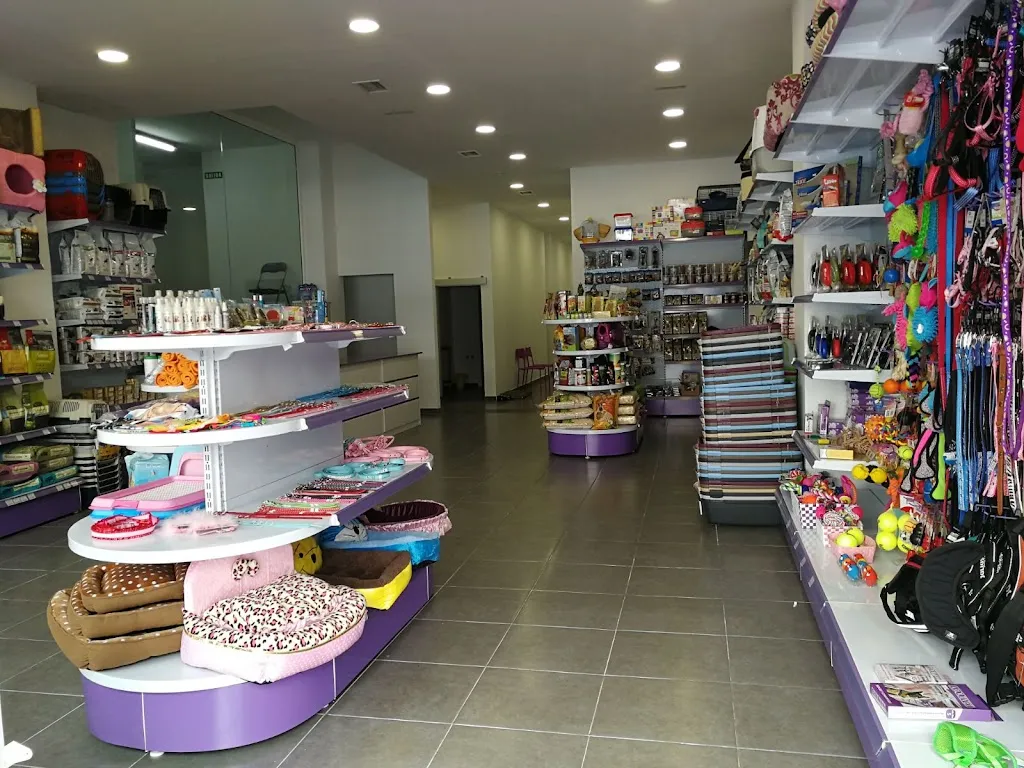 Imagen de Principal