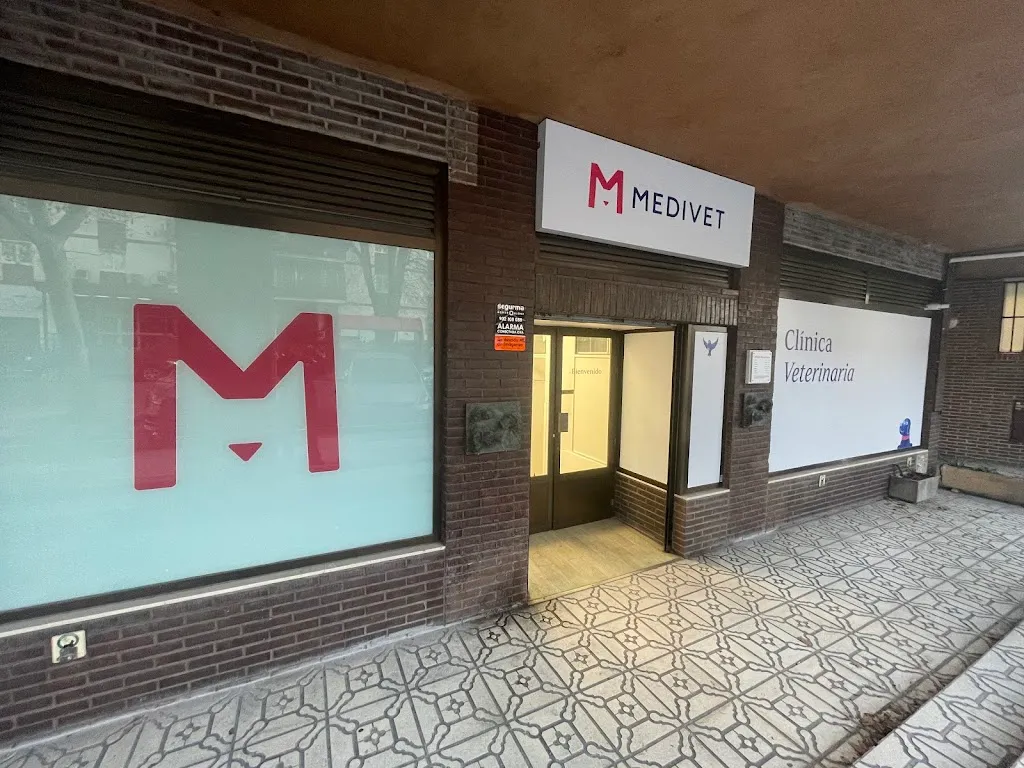 Imagen de Principal