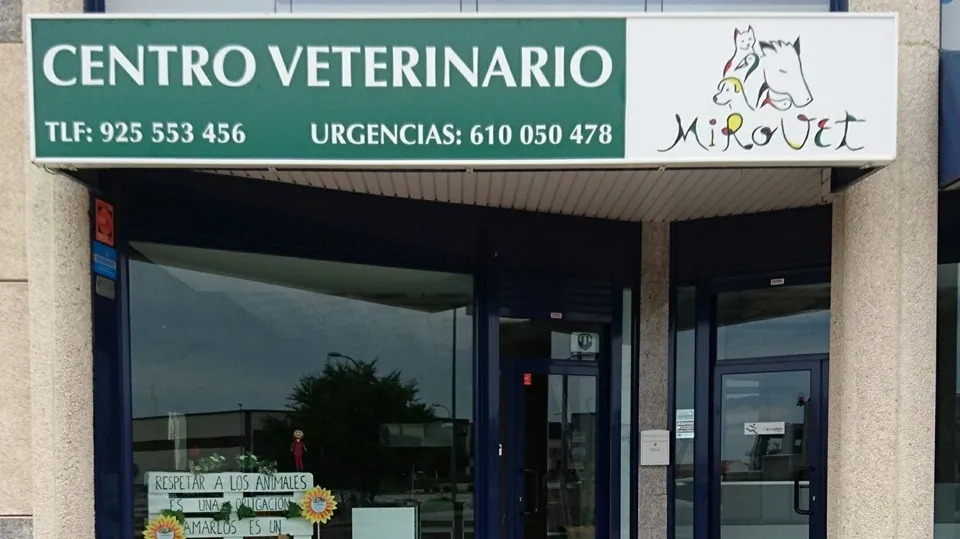 Imagen de Principal