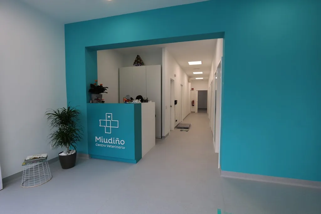 Imagen de Principal