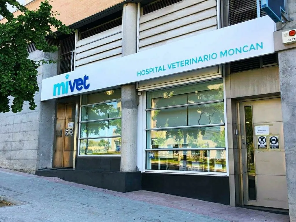 Imagen de Principal