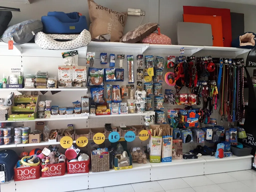 Imagen de Principal